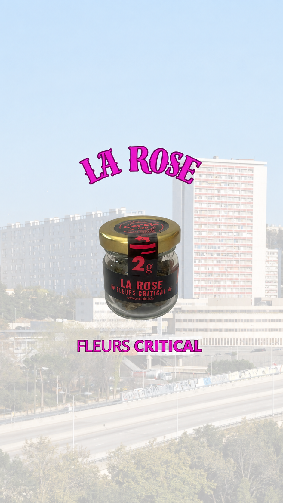 LA ROSE- FLEURS CRITICAL CBD