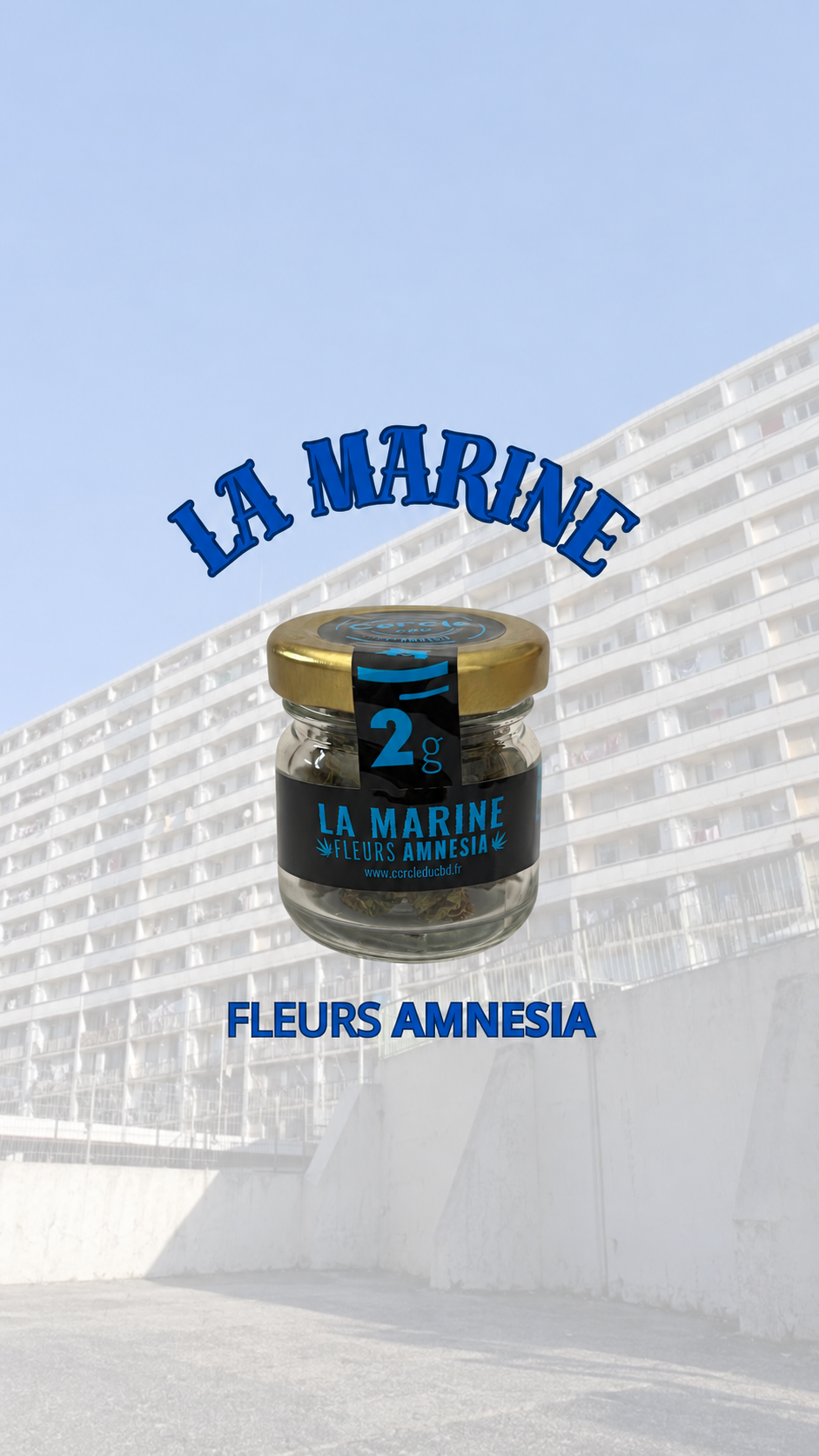 LA MARINE- FLEURS AMNESIA CBD