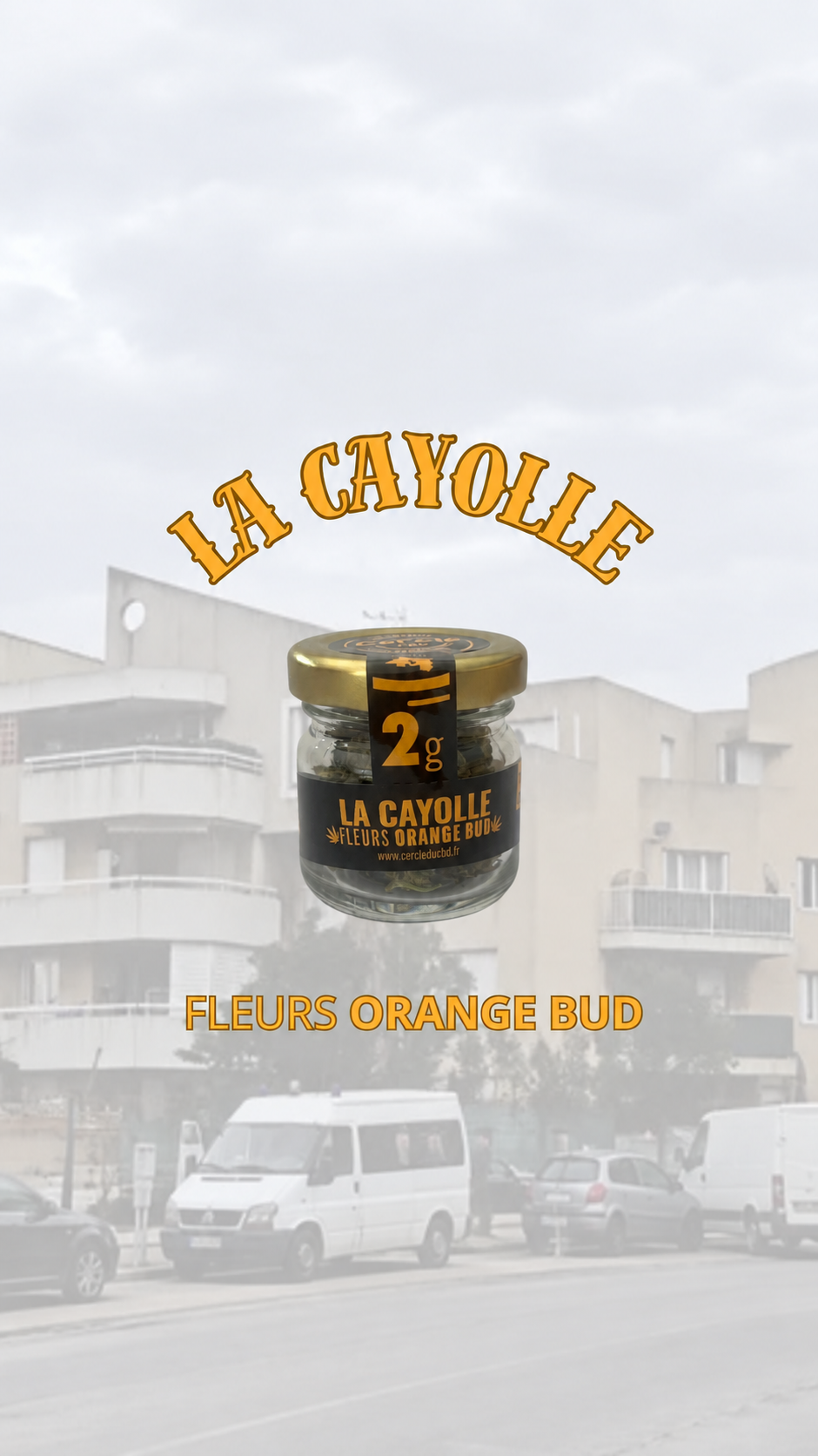 LA CAYOLLE - FLEURS ORANGE BUD CBD