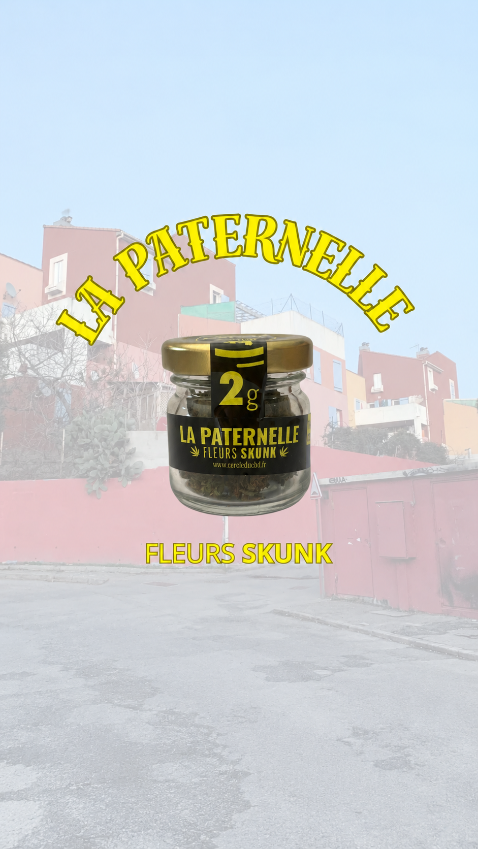 LA PATERNELLE - FLEURS SKUNK CBD
