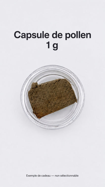 CBD SACHET SURPRISE ??